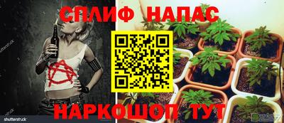 тгк Гусь-Хрустальный