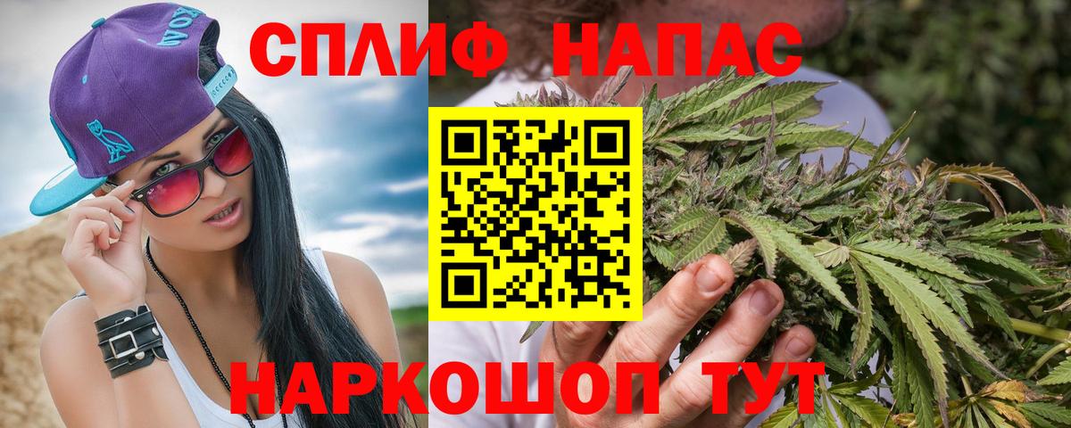 Конопля марихуана Назрань